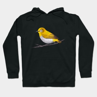 Indian White Eye Bird Species Hoodie